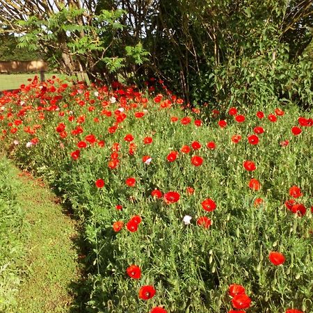 Bed and Breakfast La Pause - Val De Loire Chabris Exterior foto