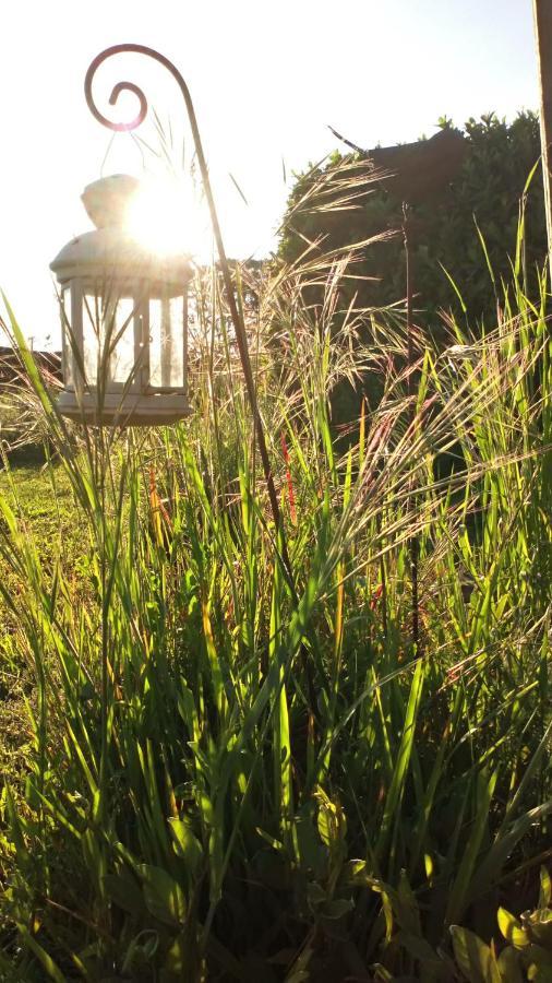 Bed and Breakfast La Pause - Val De Loire Chabris Exterior foto